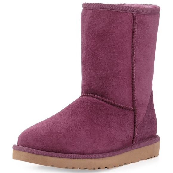 Purple uggs - Picture 1 of 5
